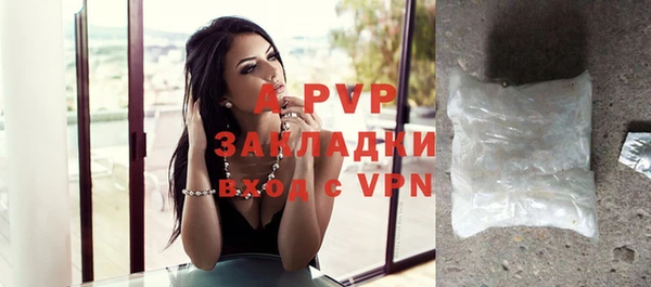ешки Новодвинск