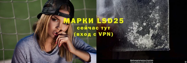 ешки Новодвинск