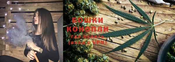 ешки Новодвинск