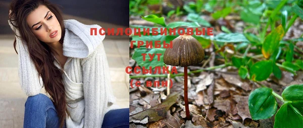 MDMA Premium VHQ Новозыбков