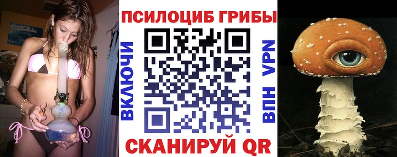 что такое наркотик  Муром  Псилоцибиновые грибы MAGIC MUSHROOMS 