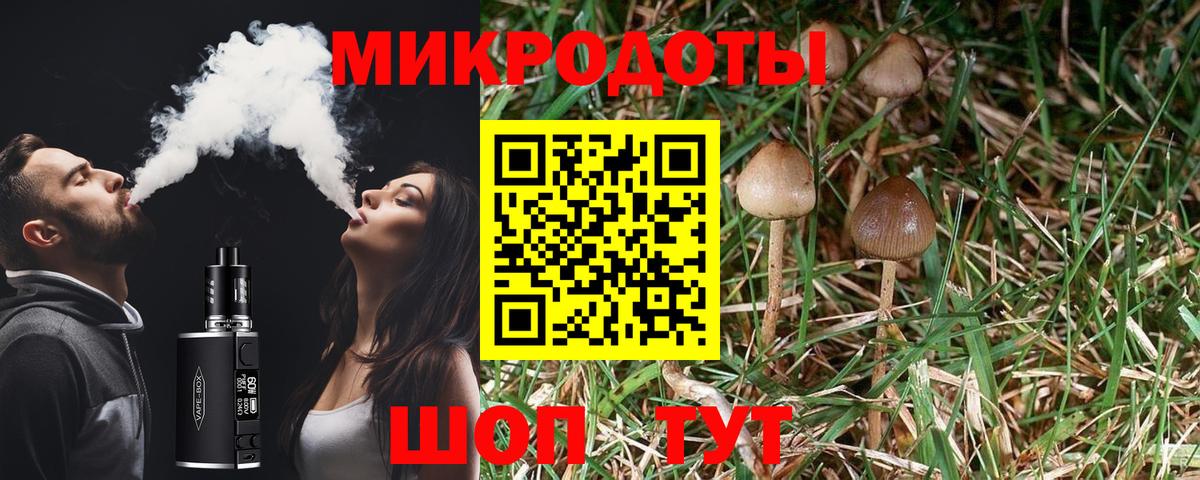 Галлюциногенные грибы мицелий  Вход с VPN  цена наркотик  Псилоцибиновые грибы Psilocybe  Муром 